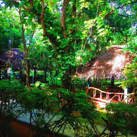 Pelwehera Village Resort Dambulla Dış mekan fotoğraf