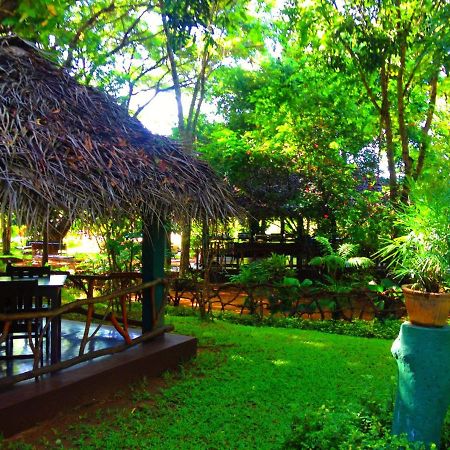 Pelwehera Village Resort Dambulla Dış mekan fotoğraf