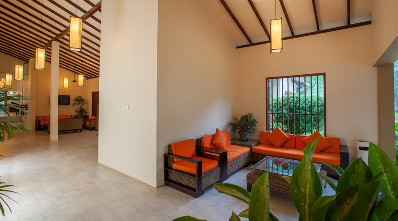 Pelwehera Village Resort Dambulla Dış mekan fotoğraf