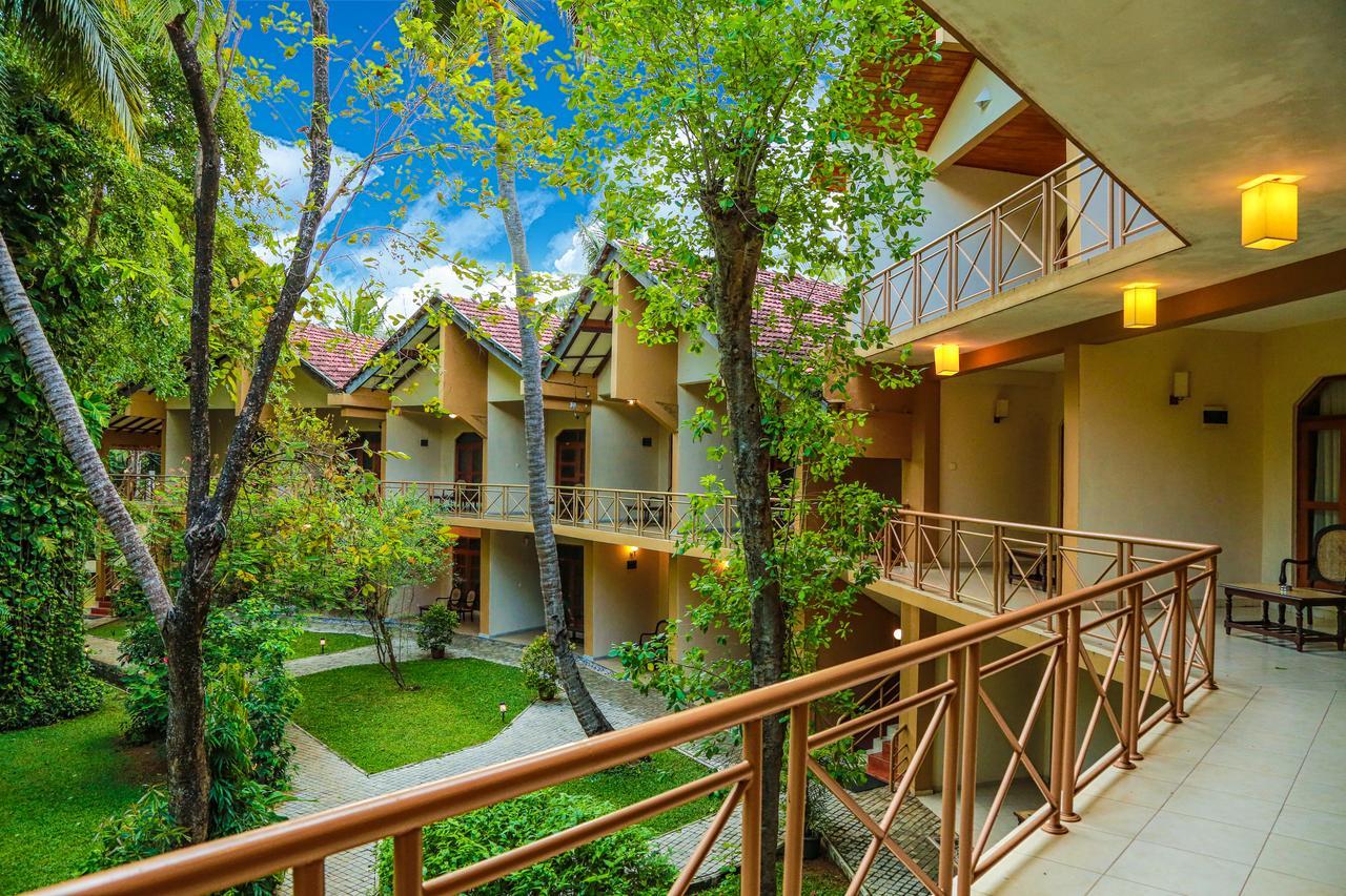 Pelwehera Village Resort Dambulla Dış mekan fotoğraf