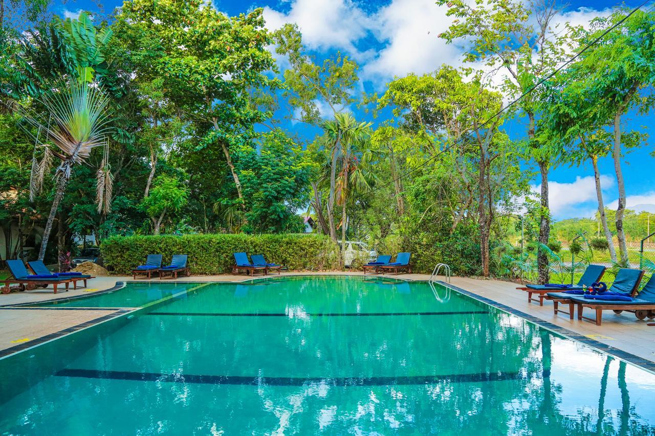 Pelwehera Village Resort Dambulla Dış mekan fotoğraf