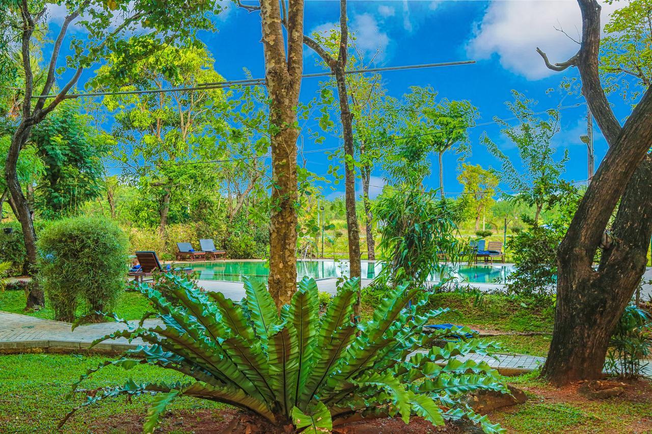 Pelwehera Village Resort Dambulla Dış mekan fotoğraf