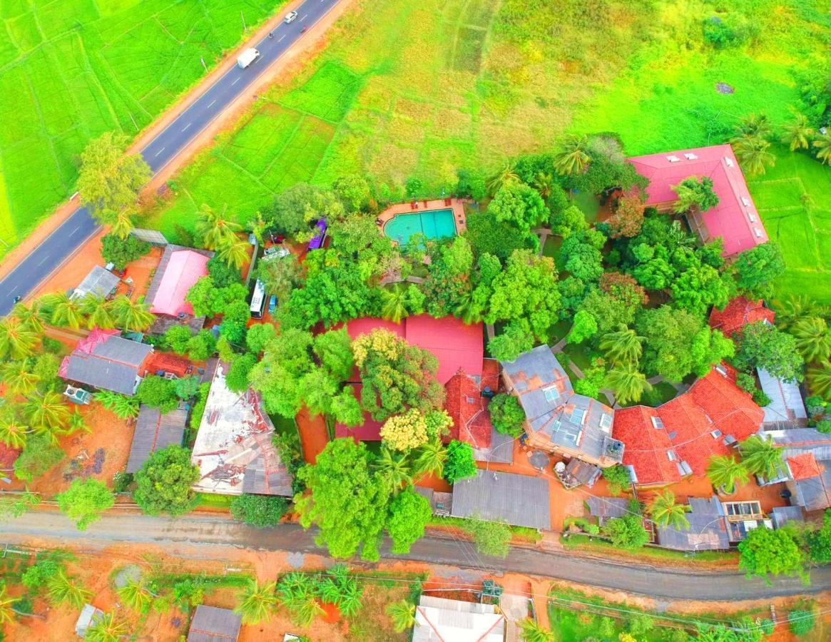 Pelwehera Village Resort Dambulla Dış mekan fotoğraf