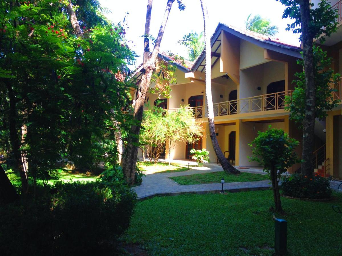 Pelwehera Village Resort Dambulla Dış mekan fotoğraf